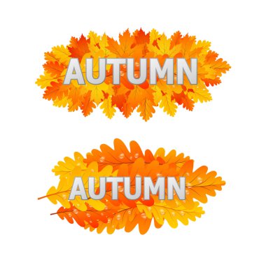 sonbahar altın yaprakları