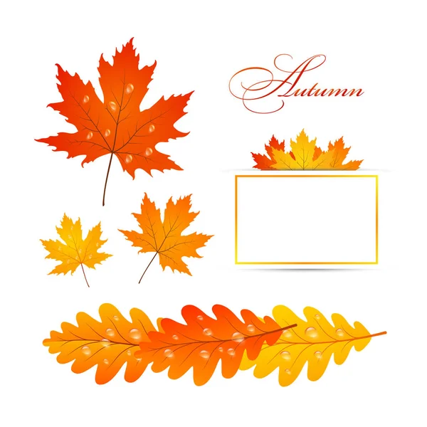 Hojas de oro otoño — Vector de stock