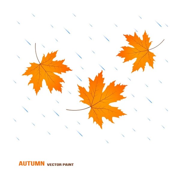 Pluie d’automne or — Image vectorielle