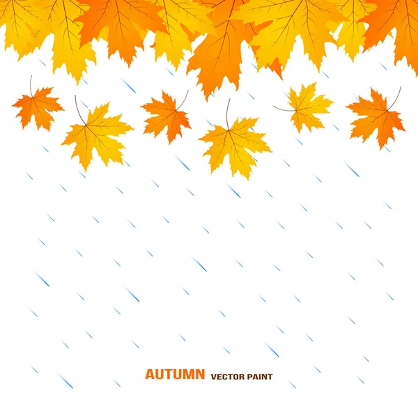 Gouttes de pluie d'automne, fond de feuilles — Image vectorielle