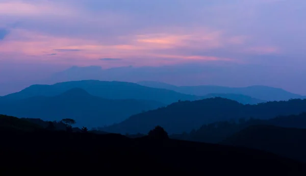 Nascer do sol dramático na plantação de chá — Fotografia de Stock