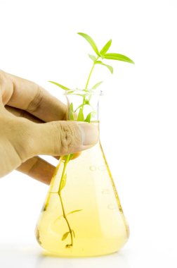 Test tüpleri, laboratuvar araştırma tesisi