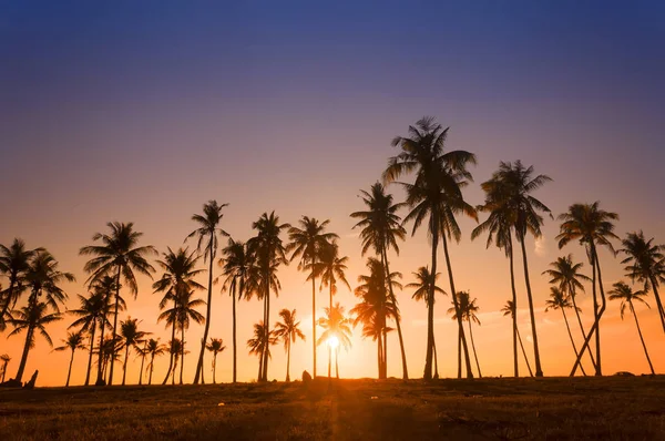 Dramática puesta de sol impresionante luz de la mañana y silueta de cocotero — Foto de Stock