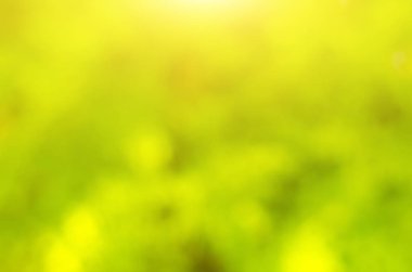 Doğal yeşil arka plan bulanık, bokeh etkisi