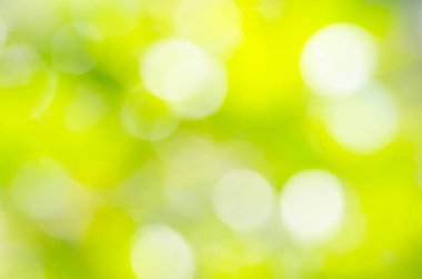 Doğal yeşil arka plan bulanık