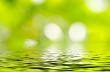 Doğal yeşil arka plan bulanık