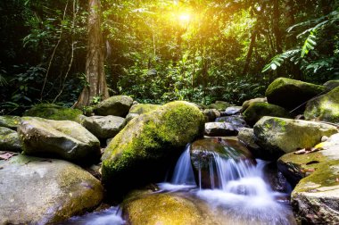 Yağmur ormanlarında gündoğumu sırasında güzel şelale