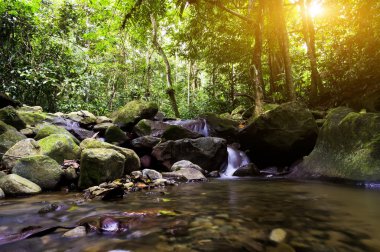 Yağmur ormanlarında gündoğumu sırasında güzel şelale