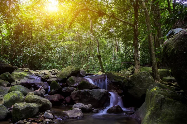선라이즈 동안 열대우림에 아름 다운 폭포 — 스톡 사진