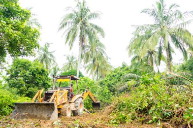 Ormansızlaşma birikmesi özellikleri için.