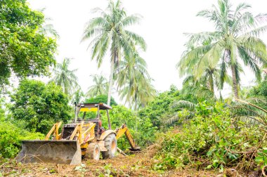 Ormansızlaşma birikmesi özellikleri için.