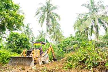 Ormansızlaşma birikmesi özellikleri için.