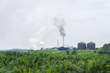 hurma yağı fabrikası tarafından üretilen hava kirliliği