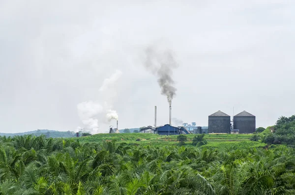 Poluição do ar produzida pelo moinho de óleo de palma Fotos De Bancos De Imagens