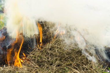 Yanan kuru ot - çevre sorunları