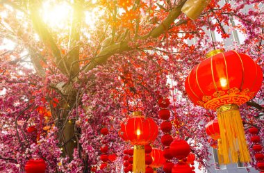 Yeni yıl festivalinde Çin fenerleri