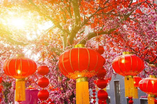 Chinese lanterns during new year festival — Stock Photo, Image