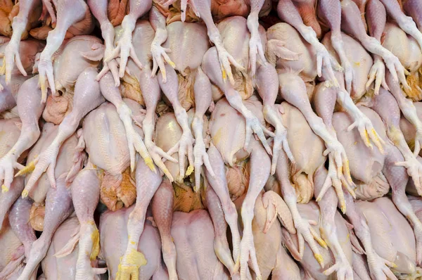 Close-up of fresh uncooked chicken — Stock Photo, Image