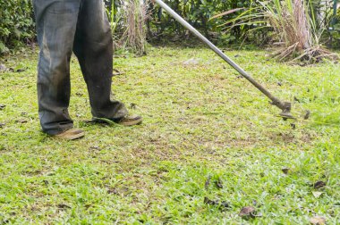 Çimlerin biçilmesi