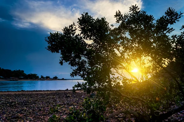 Beautiful dramatic sunset — Stock Photo, Image