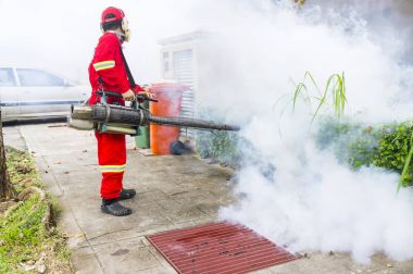 Aedes sivrisinek ortadan kaldırmak için sisleme