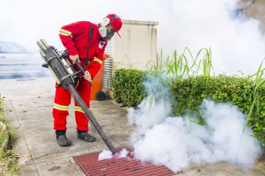 Aedes sivrisinek ortadan kaldırmak için sisleme
