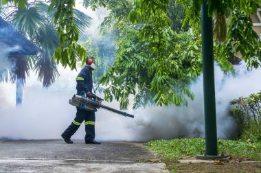 Aedes sivrisinek ortadan kaldırmak için sisleme