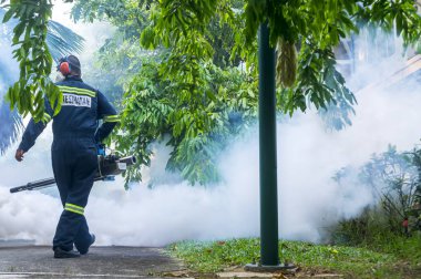 Aedes sivrisinek ortadan kaldırmak için sisleme