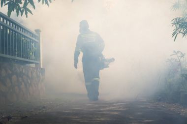 Aedes sivrisinek ortadan kaldırmak için sisleme