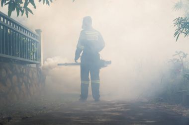 Aedes sivrisinek ortadan kaldırmak için sisleme