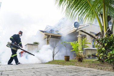 Aedes sivrisinek ortadan kaldırmak için sisleme