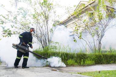Aedes sivrisinek ortadan kaldırmak için sisleme