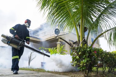 Aedes sivrisinek ortadan kaldırmak için sisleme