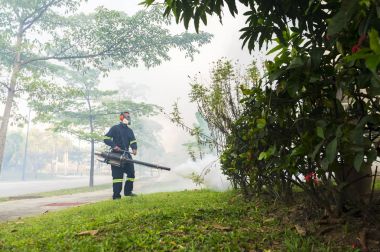 Aedes sivrisinek ortadan kaldırmak için sisleme