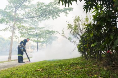 Aedes sivrisinek ortadan kaldırmak için sisleme