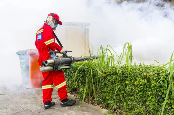 Θολώσει για την εξάλειψη των κουνουπιών aedes — Φωτογραφία Αρχείου