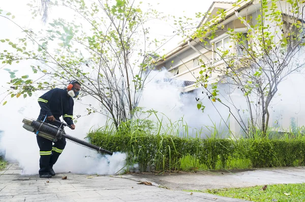 Θολώσει για την εξάλειψη των κουνουπιών aedes — Φωτογραφία Αρχείου