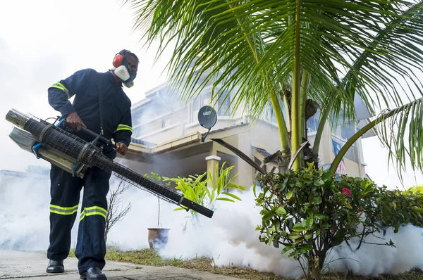 Θολώσει για την εξάλειψη των κουνουπιών aedes — Φωτογραφία Αρχείου