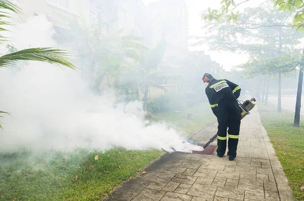 Imma för att eliminera aedes mygga — Stockfoto