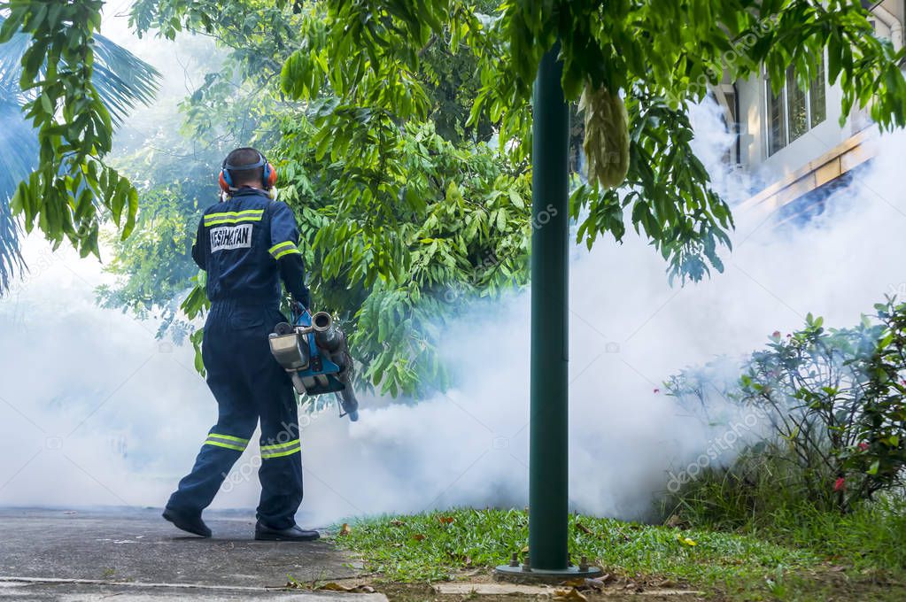 fogging aedes eliminate nebulización eliminar aegypti