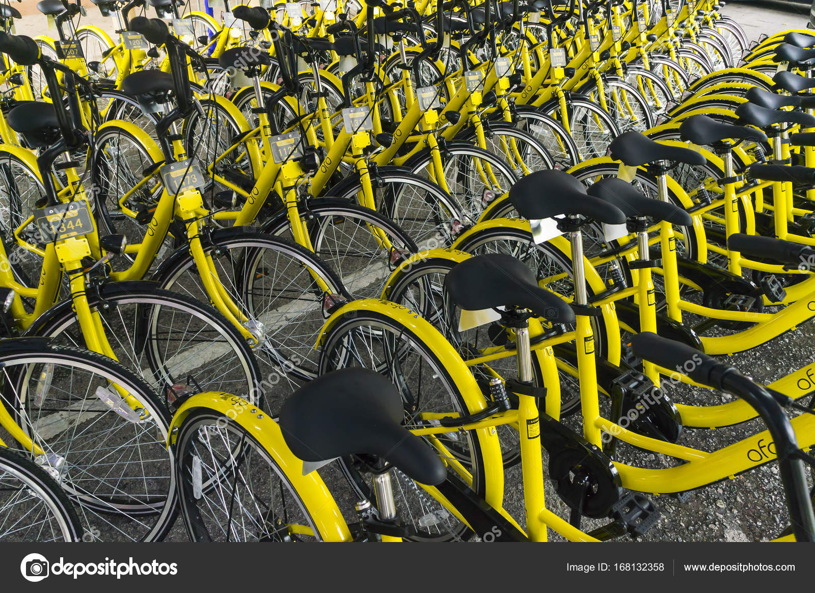 velo ofo