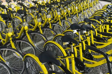 Ofo Bisiklet yakın çekim