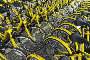 Ofo Bisiklet yakın çekim