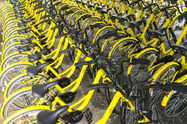 Ofo Bisiklet yakın çekim