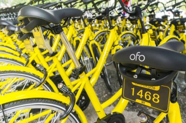 Ofo Bisiklet yakın çekim