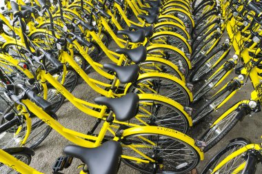 Ofo Bisiklet yakın çekim