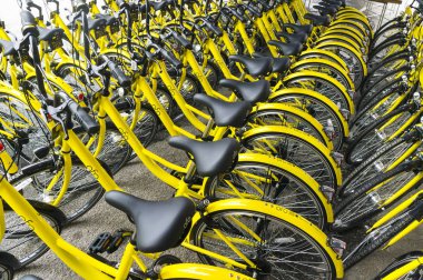 Ofo Bisiklet yakın çekim