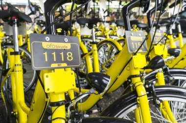 Ofo Bisiklet yakın çekim