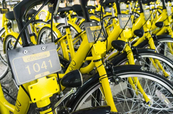 Ofo Bisiklet yakın çekim