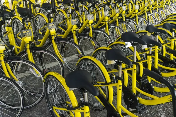Ofo Bisiklet yakın çekim